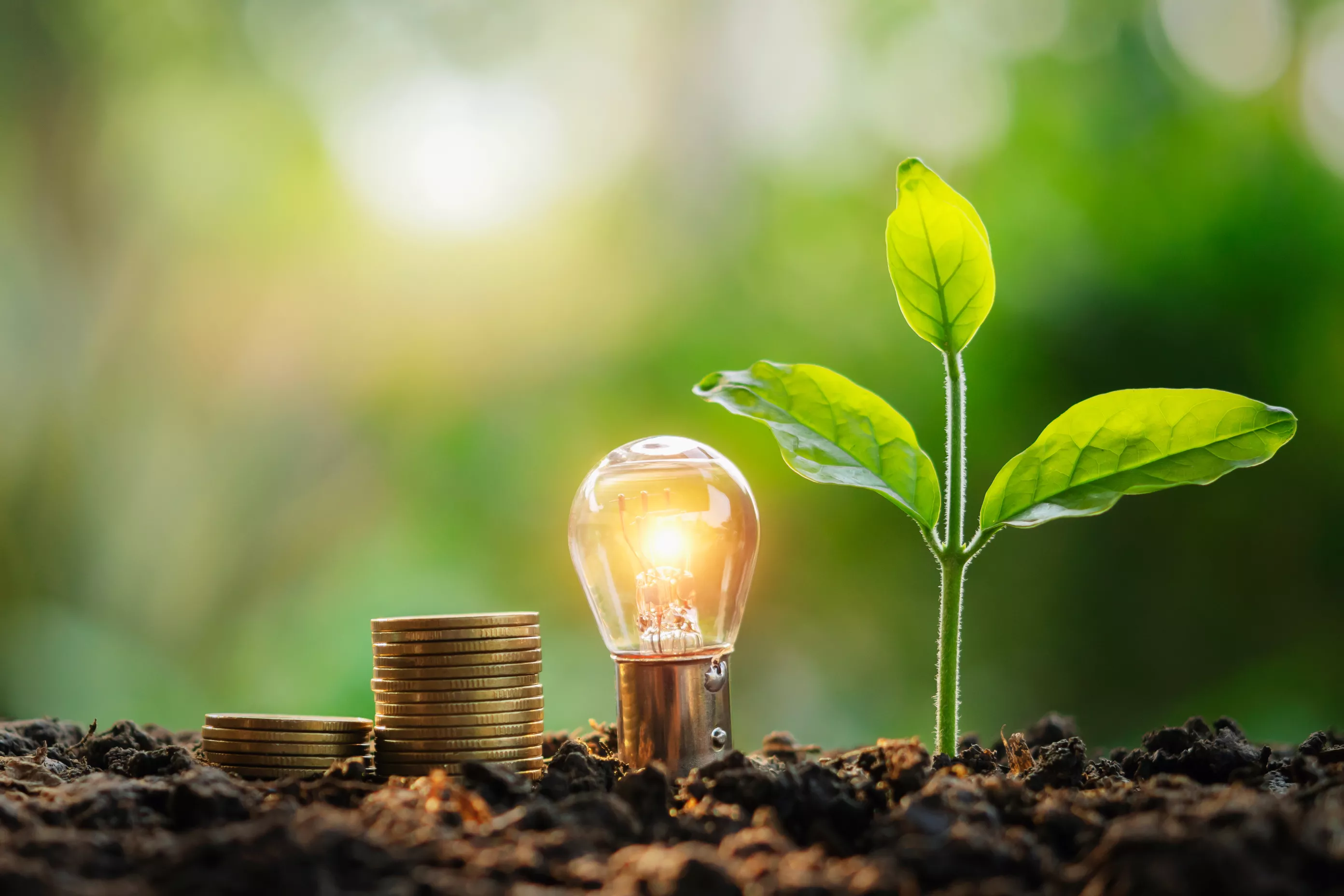 Lokale Energieerzeugung Lokale Energieerzeugung